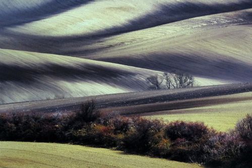 Foto: Fotosoutěž Photographia Natura 2017 zná vítěze