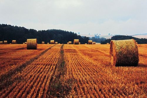 Obrázek - Balíková sezona Ondřeje Hály