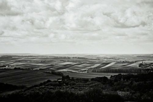 Obrázek - 