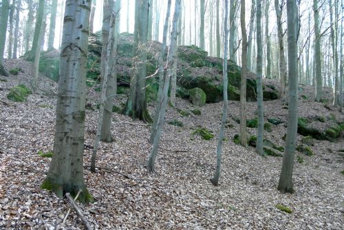Obrázek - 