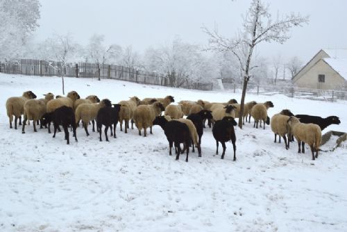 Foto: Zima na statku na Vysočině jako za starých časů