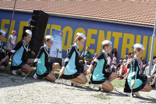 Obrázek - 