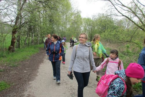 Obrázek - 