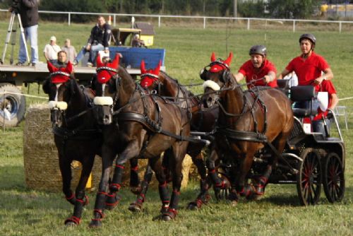 Obrázek - Čtyřspřeží - Zdeněk Jirásek Rony, 14 Romeo, 19 Nero, 10 Nick, foto: JIří Bělohlav