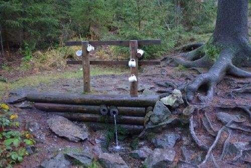 obrázek:Hrneček u studánky neznamená automaticky pitnou vodu. Tři zdroje u Žďáru nevyhověly rozborům