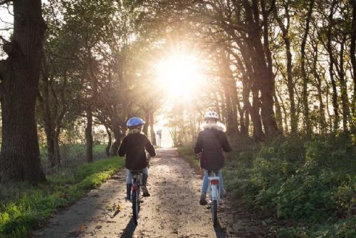 Foto: Nová cyklotrasa Via Silva Nortica propojí Vysočinu, Jižní Čechy a Rakousko a změní Melk na cyklistickou destinaci