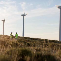 Vysočina: Větrná energie získává podporu v místních referendech