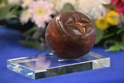 obrázek:Zlatá jeřabina zná vítěze: uspěly děti z Havlíčkova Brodu i Žďárský hřbitov