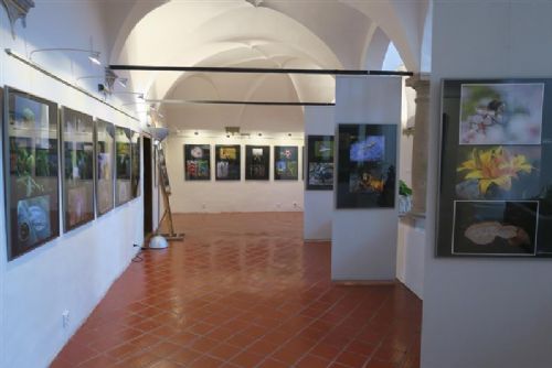 obrázek:Makrofotografie zaplnily muzejní arkády v Muzeum Vysočiny Jihlava