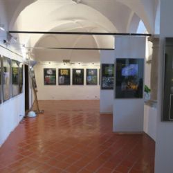 Makrofotografie zaplnily muzejní arkády v Muzeum Vysočiny Jihlava