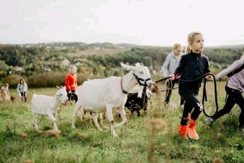 obrázek:Kozí spolek v Třebíči plánuje stěhování, rozvíjí programy pro děti i veřejnost