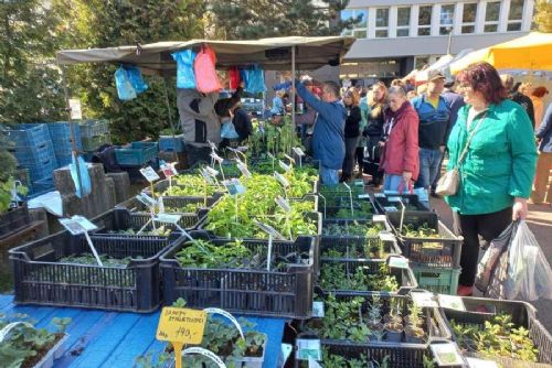 obrázek:Zahrada v Havlíčkově Brodě startuje v pátek: desítky stánků i novinky pro zahrádkáře