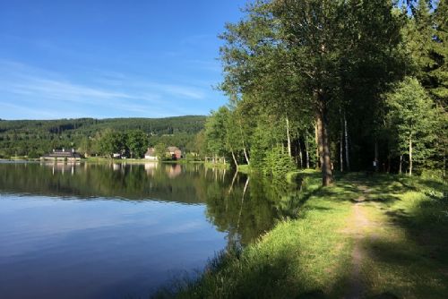 Foto: Další závod Běhej lesy na Vysočině, tentokrát na Žďársku