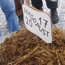 Na hodickém masopustu se lidé mohli vyfotit ve vesnickém fotokoutku