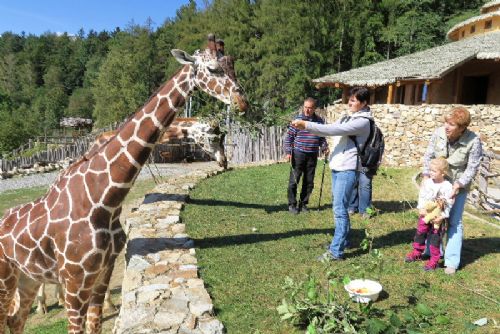 Foto: Sváteční dny budou v jihlavské zoo retro