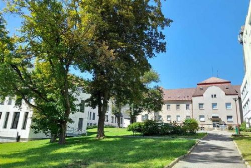 Foto: Vysočina obnovuje zeleň u nemocnice: nové stromy, lepší biodiverzita