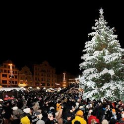 Máte na zahradě vánočního obra? Plzeň hledá strom, který rozzáří náměstí Republiky