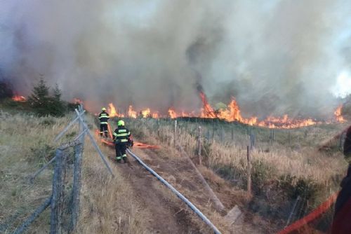 obrázek:Požár lesa u Studence zaměstnal 18 jednotek. Hasiči nasadili i vrtulník s bambivakem