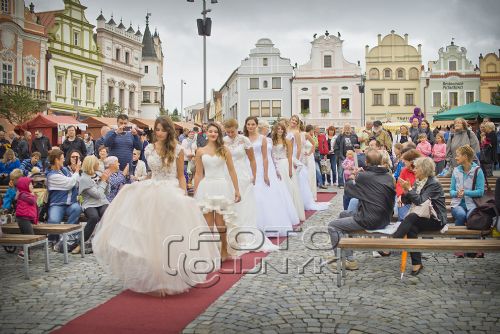 Foto: Charitativní módní přehlídka přinesla dětskému oddělení přes deset tisíc korun