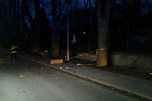 Obrázek - Havlíčkův Brod, strom na lampě veřejného osvětlení
Foto: HZS Kraje Vysočina