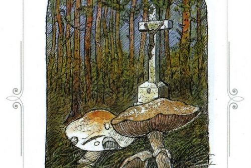 Obrázek - 