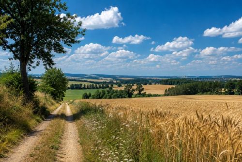 obrázek:Na Vysočině vrcholí vlna veder. Na Jihlavsku může být až 38 °C, hrozí bouřky i zvýšené riziko požárů