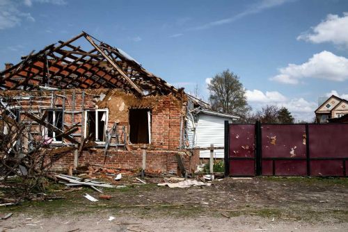 Foto: Renovace sokoloven v Česku: uspěch i komplikace