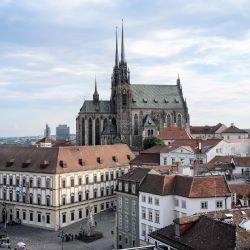 O funkci ředitele/ky Muzea města Brna má zájem osm uchazečů. Jejich životopisy jsou dostupné online