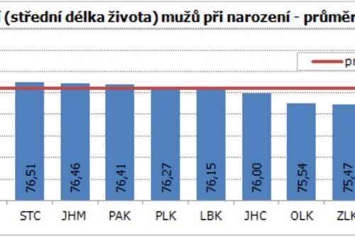 Obrázek - 