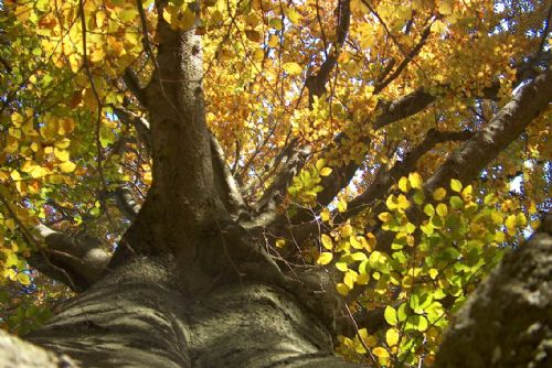 Foto: O víkendu otevře své brány i zámecký park v Proseči-Obořišti