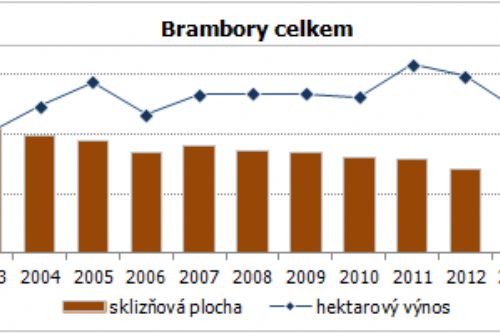 Obrázek - 