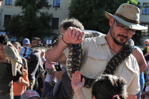 Foto: Jihlavská zoo slaví šedesátiny