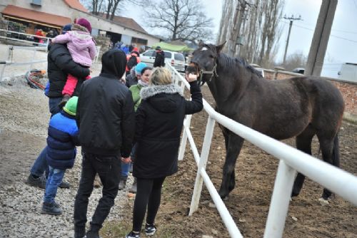 Obrázek - 